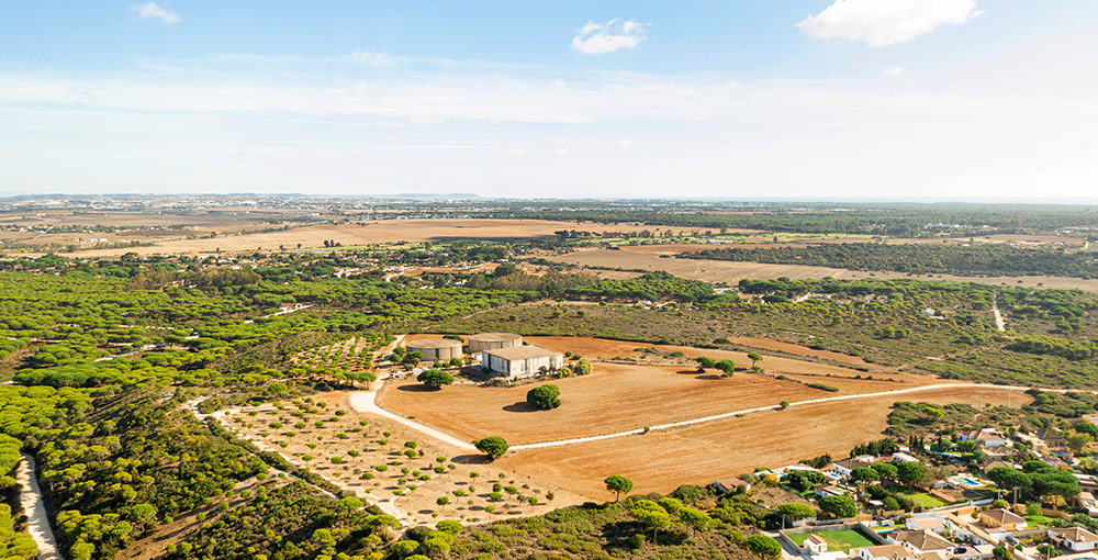 Cómo elegir un buen terreno para construir: claves para una inversión segura.